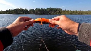 Ловля щуки на бигбейты.Джерки помогли уйти от нуля.