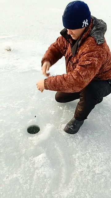 7 января 2025 г. смотреть онлайн