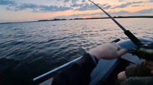 Рыбалка на Щуку с большими приманками (Big-baits) Miuras mouse, Bul