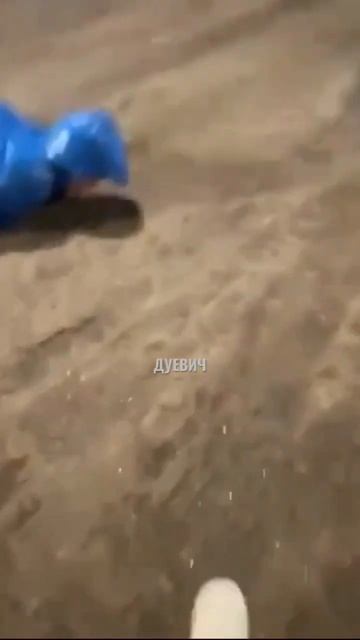 Еля Плаг жестко упал 😨 #стрим #твич #твичнарезка #стри? смотреть онлайн