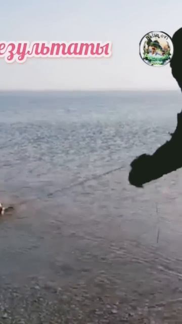 Результаты #fishing #carpfishing #рыболовная #carp #рыбалка #fish #щу? смотреть онлайн