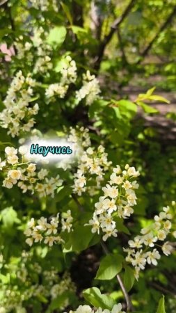 Всё, что тебе нужно