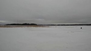 Зимняя рыбалка. Окунь. Большая мормышка с силиконом. Win