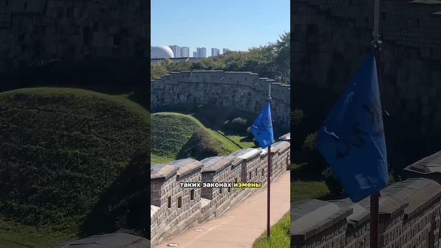 В Корее можно сесть за ЭТО в тюрьму, что думаете об это? смотреть онлайн