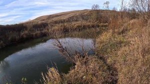 ГДЕ ИСКАТЬ ЩУКУ В ОКТЯБРЕ ??? НАШЁЛ МЕСТО И ЩУКА СТАЛА К?