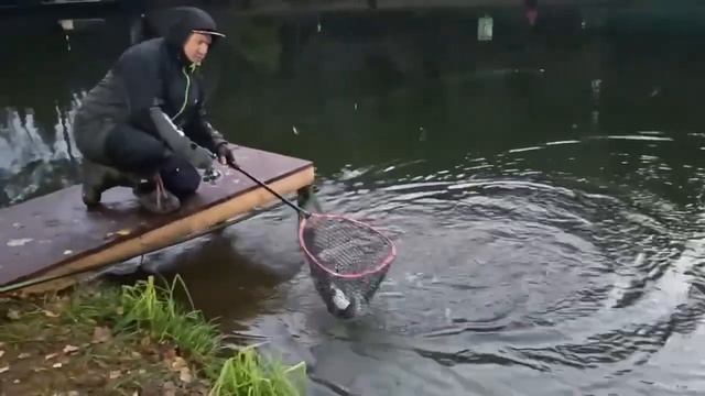 Голицыно Fish смотреть онлайн