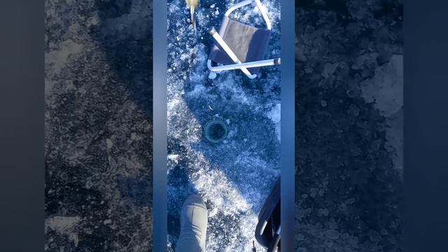 зимняя рыбалка на омуля, на Байкале смотреть онлайн