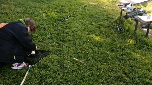 Светлые Горы Карп 14.08.2024г. смотреть онлайн