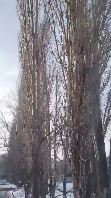 Зима в Саратове #снег #саратов #россия #зима #путешеств?