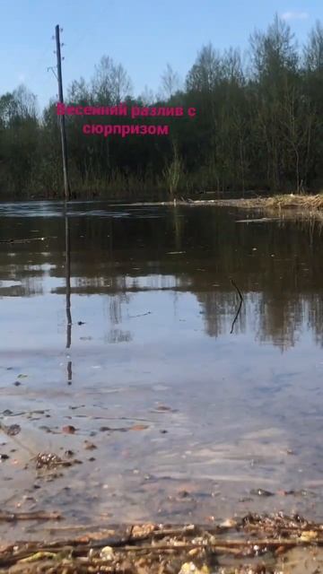 Разлив , Томская область смотреть онлайн