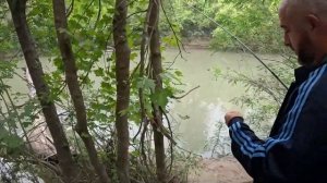 Мощные поклевки усача. Рыбалка на реке Сунжа.