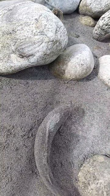 #fishing #рыбалка # природа # форель смотреть онлайн