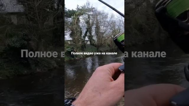 Ловля дикой Форели! #рыбалка #fishing #shots #reels #спиннинг смотреть онлайн