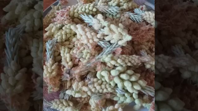 сильный мощный иммунитет. с пыльцой сосны и с цветочками одуванчиков