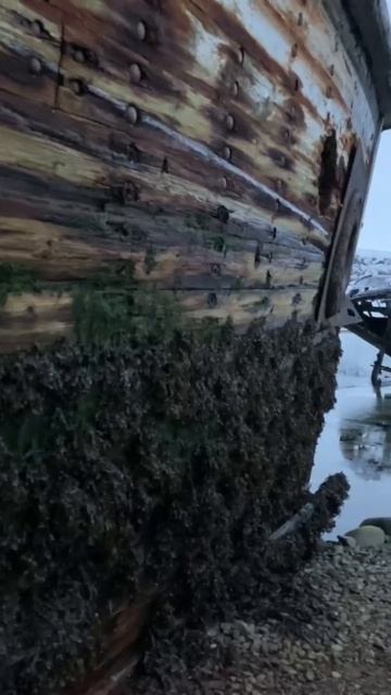 Самое время ехать на море… #насевережить #териберка