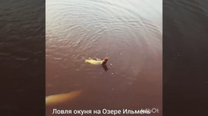 Рыбалка на озере Ильмень #Ильмень #рыбалка2024 #озероиль