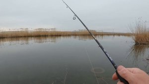 2025.04.12 Река Миус. Берег. Спиннинг