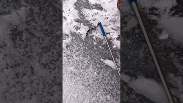 Скорее БАГОР! Плотва монстр, рвет лески😲 #fishing #рыбак #? смотреть онлайн