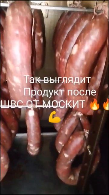 ШВС Москит Шкаф Вялочно-Сушильный смотреть онлайн