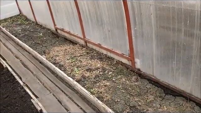 Теплица после потопа. смотреть онлайн