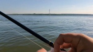 ЛОВЛЯ ОКУНЯ НА ОБИ.ОКУНЬ НА ОТВОДНОЙ ПОВОДОК.