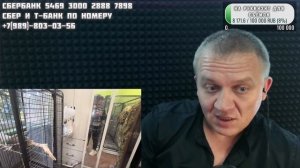 Обзор говноконтента Тайгана, какаду разнёс картавятник, 17 апреля