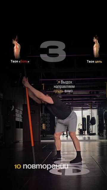 5 упражнений с палкой на здоровую осанку #mobilitystick смотреть онлайн