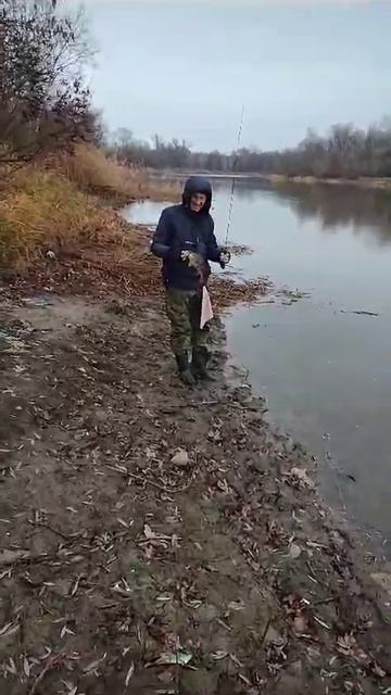 Black Adder 562 и мормышка 0.9 гр. , окунь 410 гр. смотреть онлайн