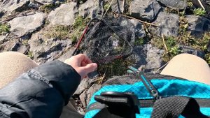 Лящ на силікон . Спінінг Favorite Black Swan BSW1-6102SUL-HS 2,08м 0,8-4г