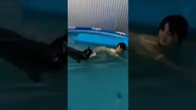 Бассейн и хаски смотреть онлайн