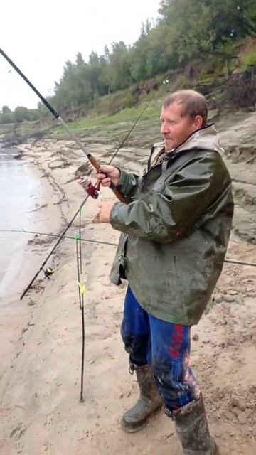 Рыбалка на протоке Оби смотреть онлайн