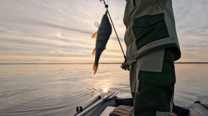 Рыбалка на Горе-Море. Попали на котлового окуня!