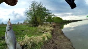 Первая рыбалка на Иртыше в апреле 2025 года