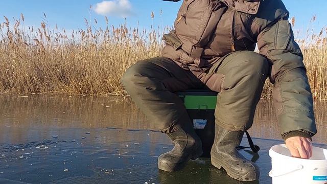 Корюшка "писуч" прет! Только успевай.) смотреть онлайн