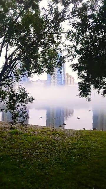 природа шортс 111 жизнь саморазвитие видео время р?