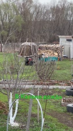 Маргарита, деревенская красавица