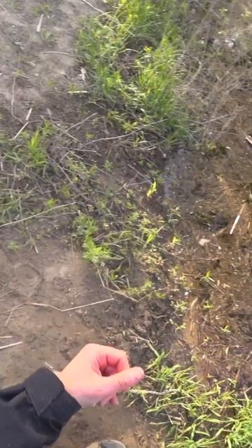 Клюет слету, чебак на удочку смотреть онлайн