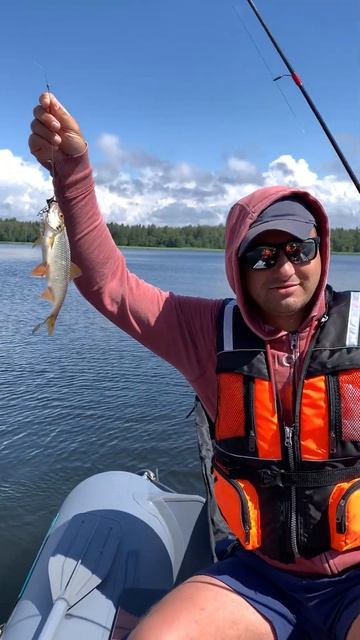 #рыбалка #с_семьёй #финский залив смотреть онлайн