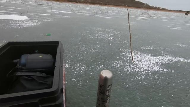 Первый лёд 2024. Жерлицы и бешеный клёв окуня. смотреть онлайн