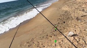 Луфарь порадовал на воблер , морская рыбалка