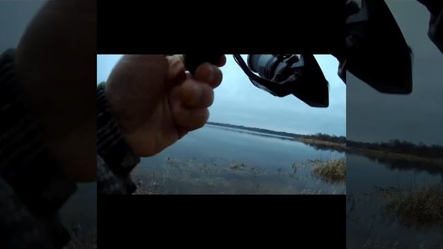 А МЫ ХОТЕЛИ УХОДИТЬ... И СРАЗУ ОКУНЬ! Рыбалка на спиннин смотреть онлайн