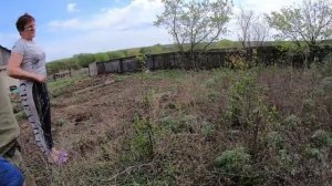 вспахивание огородов мотоблоком