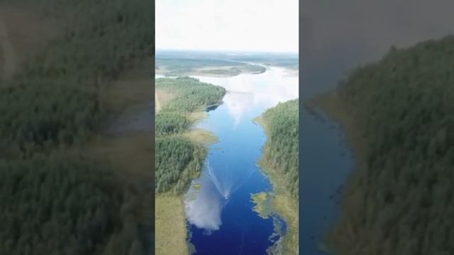 Рыбалка в Карелии. Река сегежа смотреть онлайн