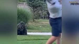 Scare Cam And Pranks. January 2021 #5 l Смешные испуги, приколы над людьми. Январь 2021 #5