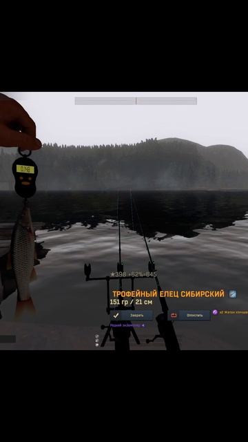 Fisher Online Россия: р.Енисей Трофейный Елец Сибирский Russia: смотреть онлайн