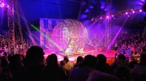 Цирк счастье, мотокаскадёры.