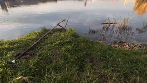 рыбалка на гребном канале в Крылатском