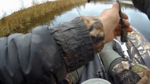 Ловля щуки в октябре на спиннинг, блесна. Рыбалка в Пск