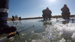 ЗИМНЯЯ РЫБАЛКА НА КАРАСЯ 2025.Река Цимла.#рыбалка #рыба #f