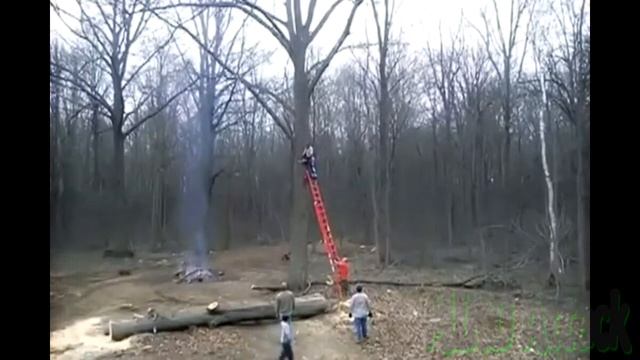 ХОРОШИЕ Приколы 28 GOOD Compilation